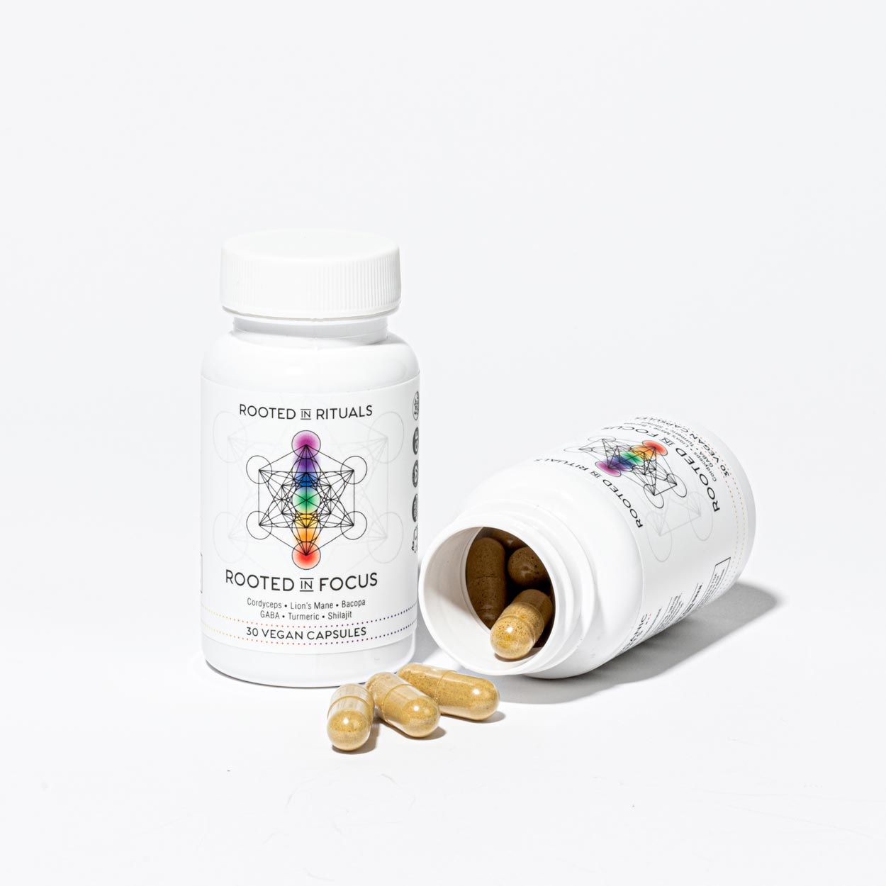 nootropic supplement with cordyceps, lion's maine, GABA, D3, K2-MK-7, B3, Lemon Balm, L-Theanine, Ginkgo, Terpenes