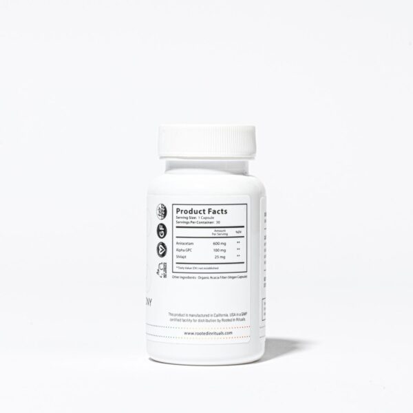 vegan capsules made with aniracetam, alpha gpc and shilajit